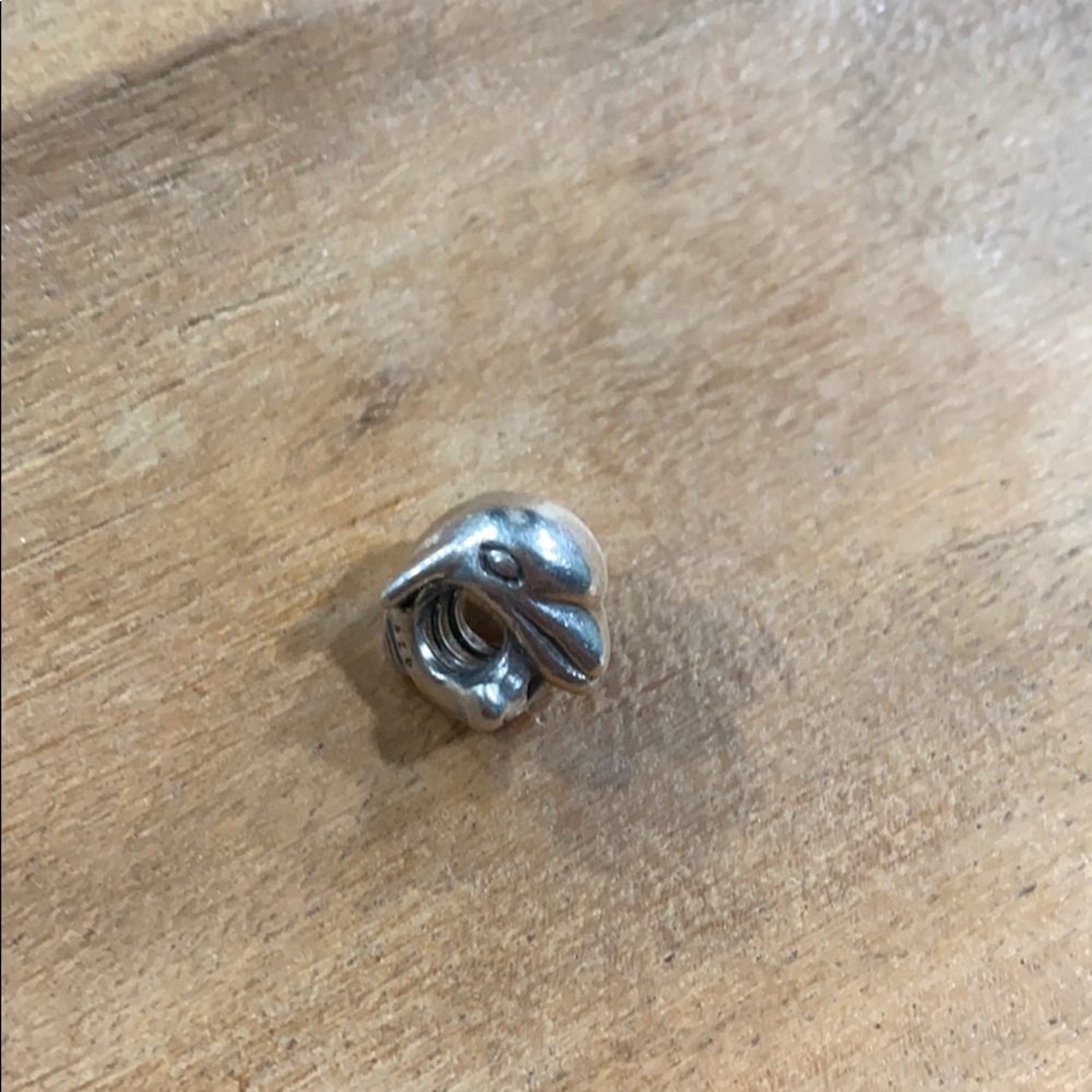 Pandora Charm